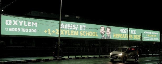 Xylem board